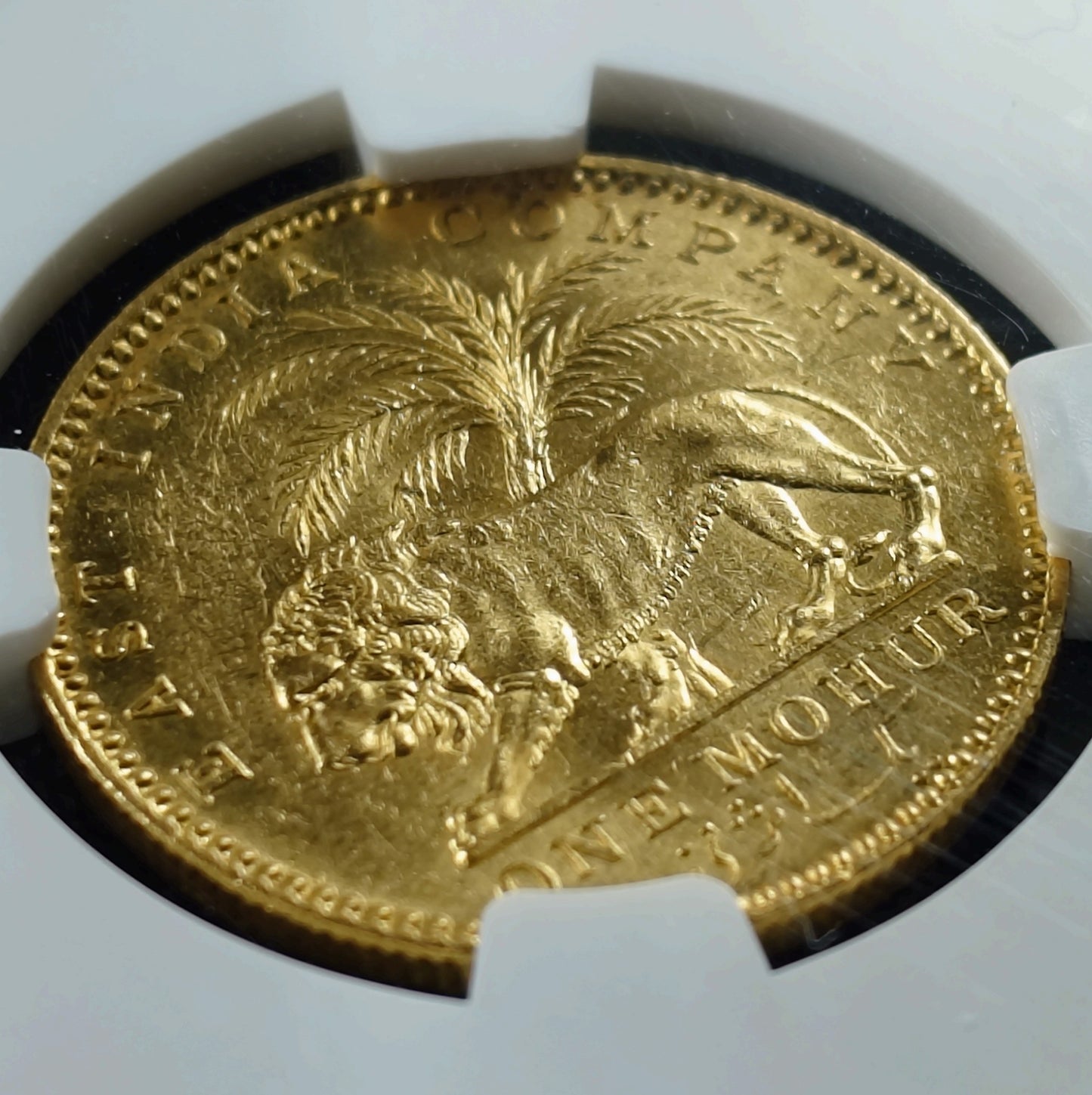 1841年 イギリス領インド モハール金貨 NGC AU58 ヴィクトリア女王