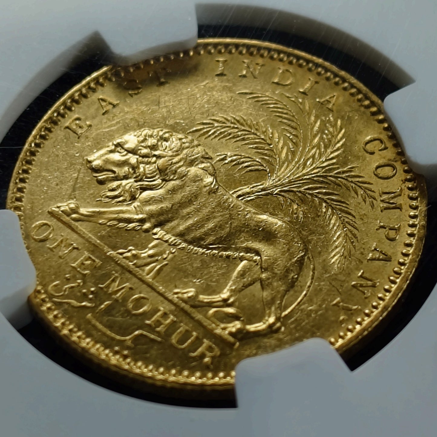1841年 イギリス領インド モハール金貨 NGC AU58 ヴィクトリア女王